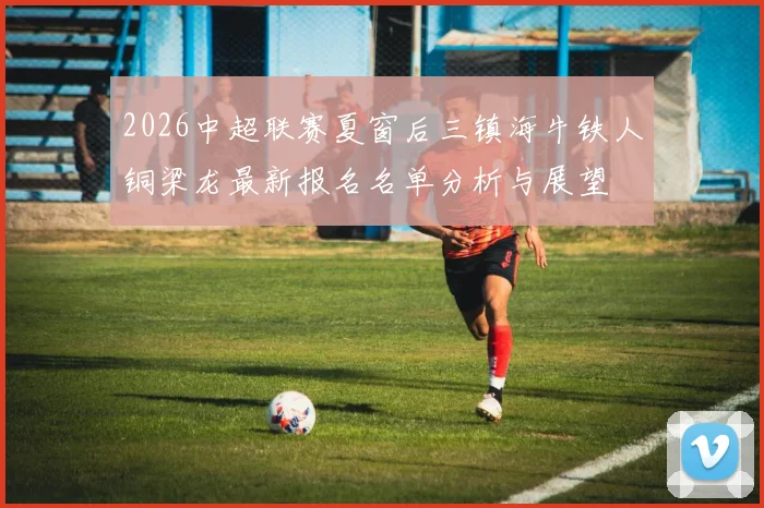2026中超联赛夏窗后三镇海牛铁人铜梁龙最新报名名单分析与展望